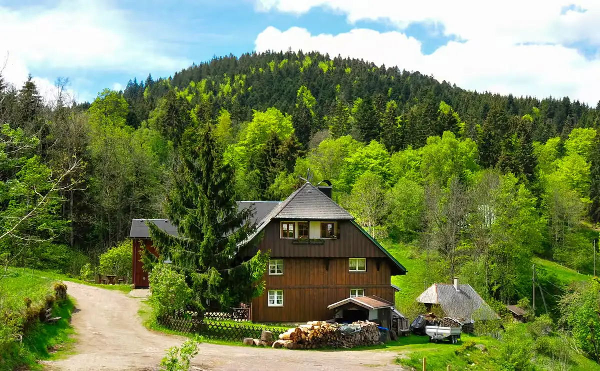 Ferienhaus Hinterzarten - Bild 1